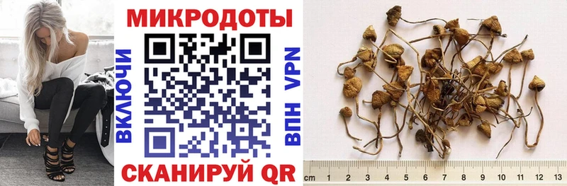 Купить где  Ржев  Псилоцибиновые грибы Magic Shrooms 