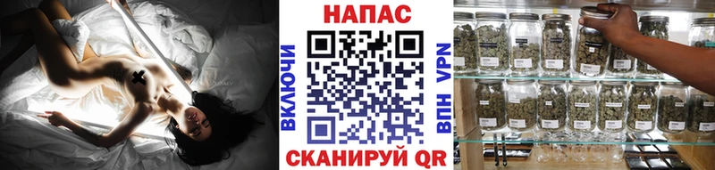 Канабис план Ржев